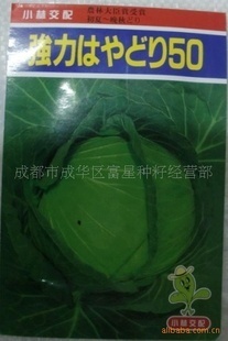 进口甘蓝种子‘强力50’ 农作物种子经营新选择