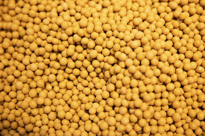 农作物种子生产经营许可证办理全攻略